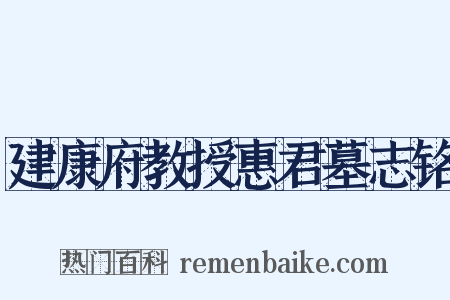 建康府教授惠君墓志铭是什么意思的图片
